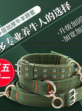 加厚栓牛脖套保险扣牛羊用项圈育肥牛脖子套拴牛绳子养牛用品大全