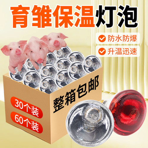 整箱保温灯养殖场专用育雏加热灯