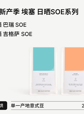 BIG SUR 2025新产季 埃塞日晒浅烘SOE系列 日晒巴瑞/吉格萨 200g