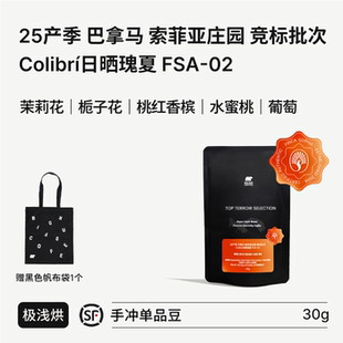 BIG SUR 2025巴拿马索菲亚庄园竞标批次 Colibrí日晒瑰夏 FSA-02