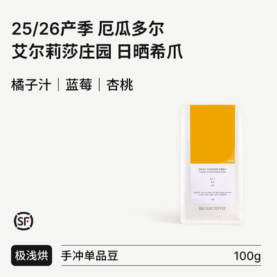 BIGSUR橘子汁/蓝莓/杏桃日晒希爪