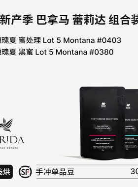 BIG SUR 25产季巴拿马蕾莉达庄园绿顶瑰夏 黑蜜/蜜处理