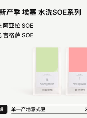 BIG SUR 25新产季埃塞 水洗浅烘SOE系列 水洗阿亚拉/吉格萨 200g