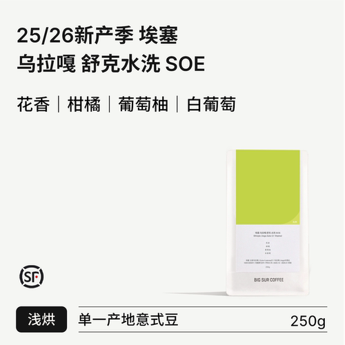 BIGSUR新产季埃塞水洗浅烘SOE