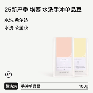 希尔达 BIG 埃塞水洗手冲豆系列 25产季 朵望秋 SUR