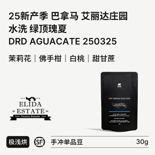 BIG SUR 25产季巴拿马艾丽达庄园鳄梨地块 暗房干燥水洗绿顶瑰夏