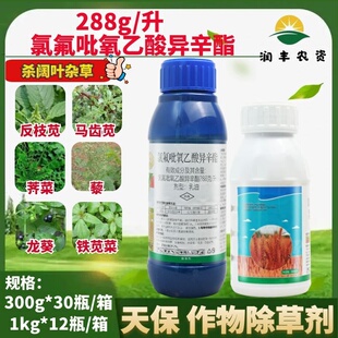 天保 288g/L氯氟吡氧乙酸异辛酯乳油反马齿苋杀阔叶杂草除草剂