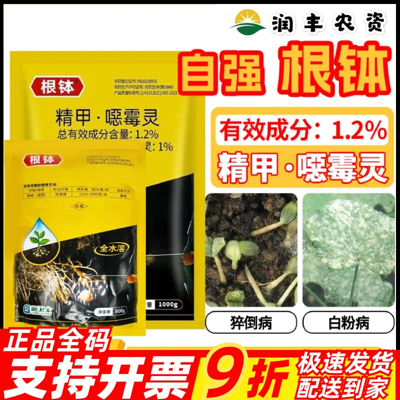 根钵1.2%精甲噁霉灵猝倒病