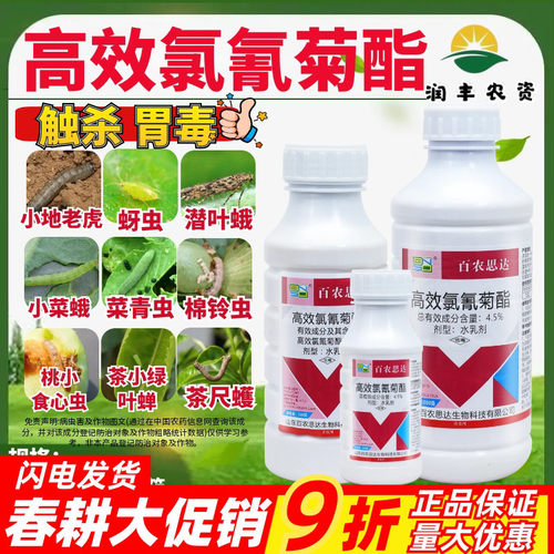 百农思达高效氯氰菊酯菜青虫