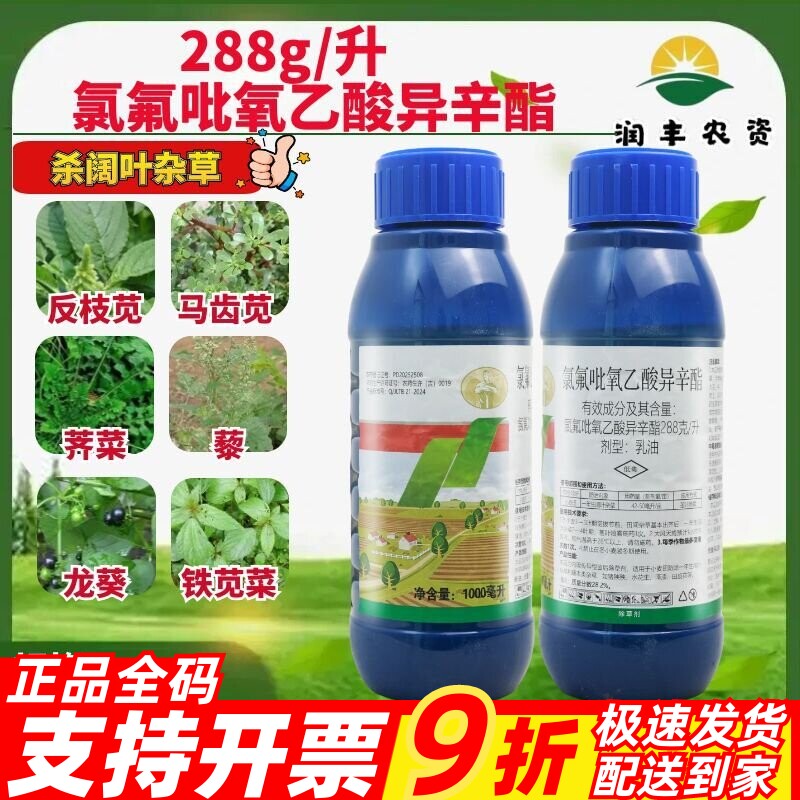 天保 288g/L氯氟吡氧乙酸异辛酯乳油反马齿苋杀阔叶杂草除草剂