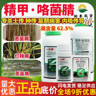 放大镜飞灌62.5克/升精甲咯菌腈 恶苗病烂秧病作物正品农药杀菌剂