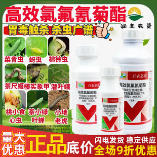 百农思达2.5%高效氯氟氰菊酯 十字花科蔬菜菜青虫 农药杀虫剂