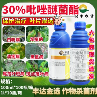 先正达 丰达金选30%吡唑醚菌酯 柑橘火龙果黑星白粉病农药杀菌剂