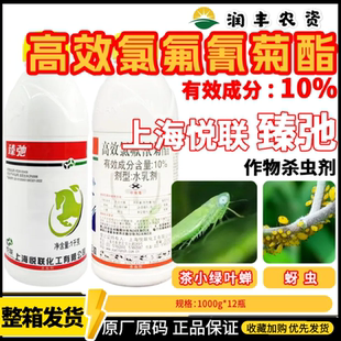 上海悦联臻弛10%高效氯氟氰菊酯茶小绿叶蝉地下害虫杀虫剂