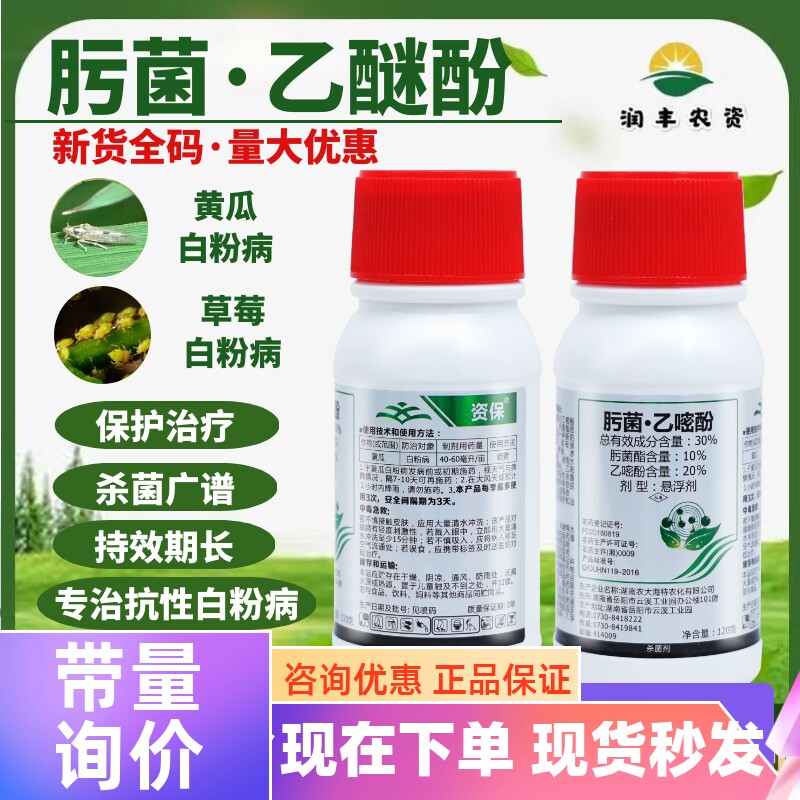 迅超资保 肟菌酯乙嘧酚 专治抗性白粉病 黄瓜草莓葡萄农药杀菌剂