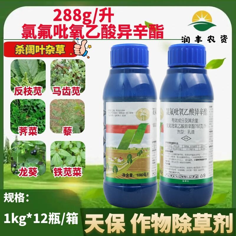 天保 288g/L氯氟吡氧乙酸异辛酯乳油反马齿苋杀阔叶杂草除草剂