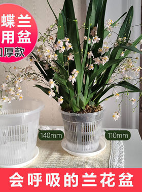 蝴蝶兰专用控根花盆铁皮石斛地面盆新款绿植盆桌面简约花卉透气盆