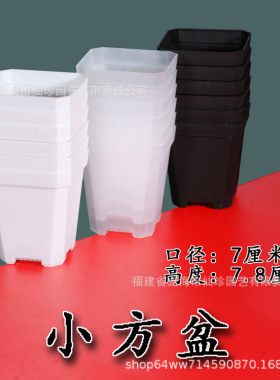 加厚小黑方花盆多肉小方盆塑料增厚盆育苗叶插扦插盆园艺用品