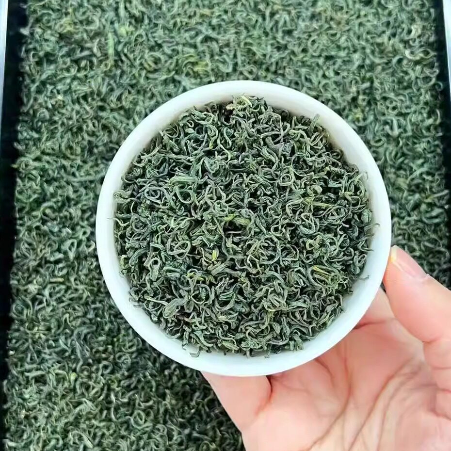 A150松阳香茶2026新茶叶正宗明前口粮香茶高山绿茶春茶鲜板栗香