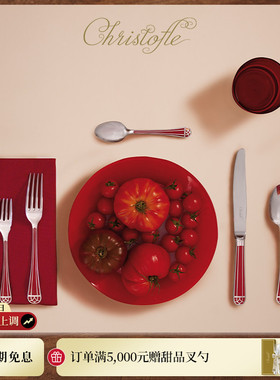 CHRISTOFLE昆庭Talisman塔利斯曼镀银甜品勺家用彩色家用西餐勺