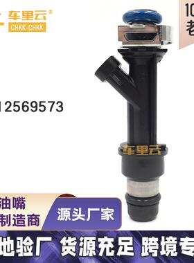 适用于02-04布拉瓦 雪佛兰 达特使开拓者 喷油嘴12569573 FJ10578