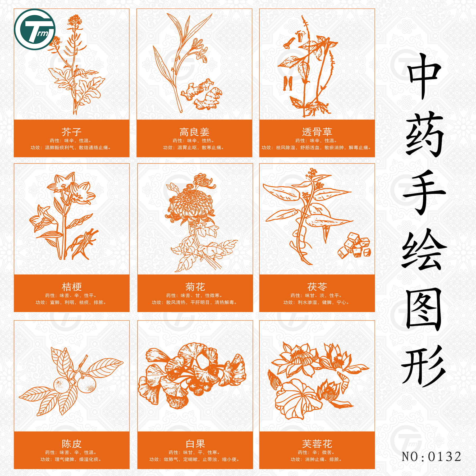 中草药植物线稿纹样矢量Ai素材