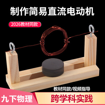 九年级物理电学跨学科实践