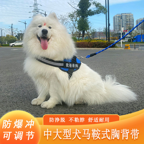 狗狗牵引绳遛狗绳子背心式萨摩耶阿拉斯加金毛中大型犬狗链胸背带 - 封面