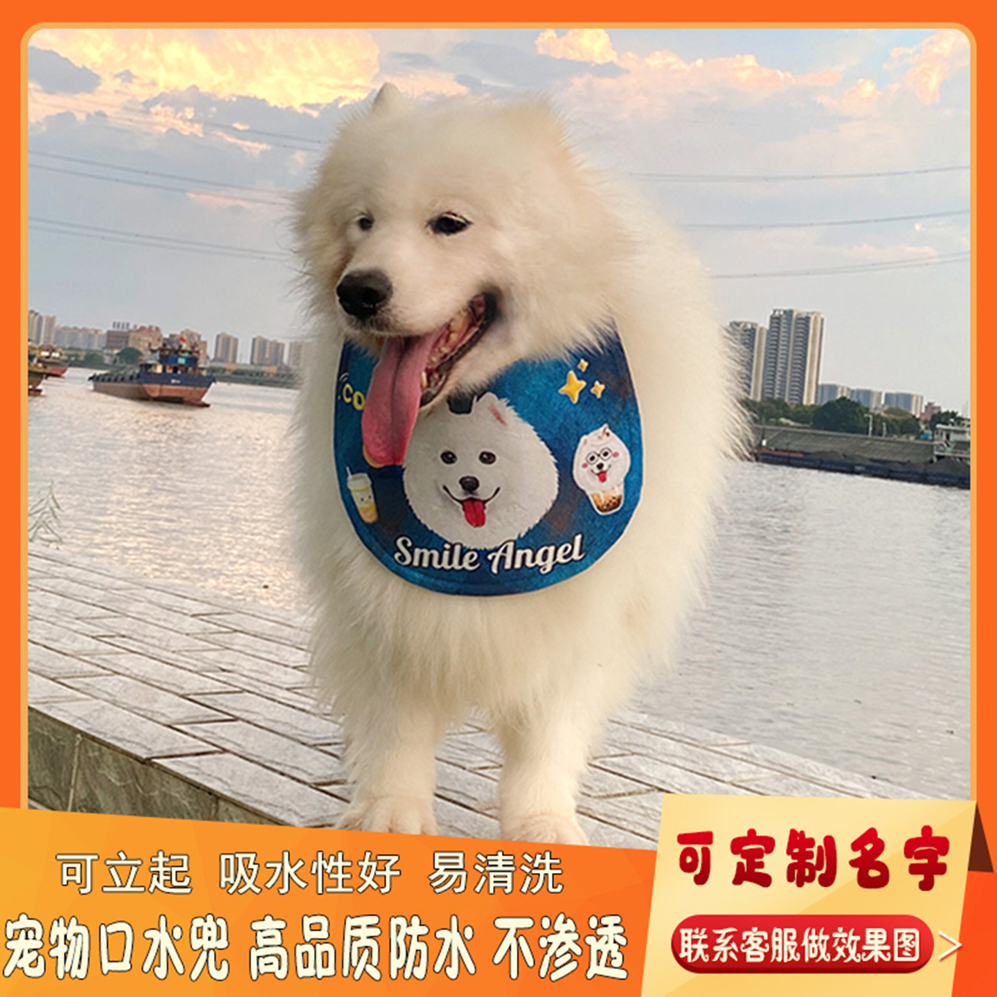 宠物狗狗萨摩耶夏季中大型犬可爱