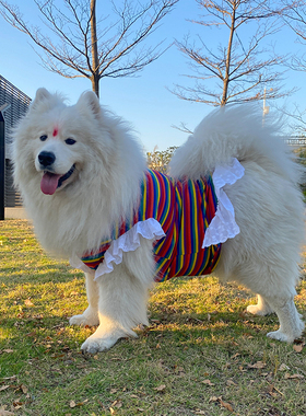 宠物狗狗夏季衣服中大型犬萨摩耶金毛阿拉斯加二哈透气彩虹公主裙