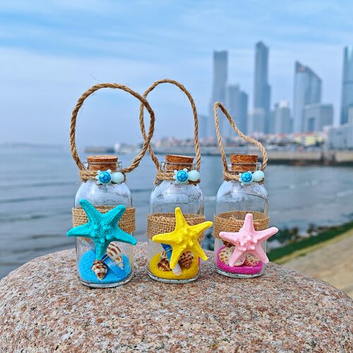 许愿漂流瓶装小天然海螺贝壳海星玻璃沙天然标本手工diy装饰摆件