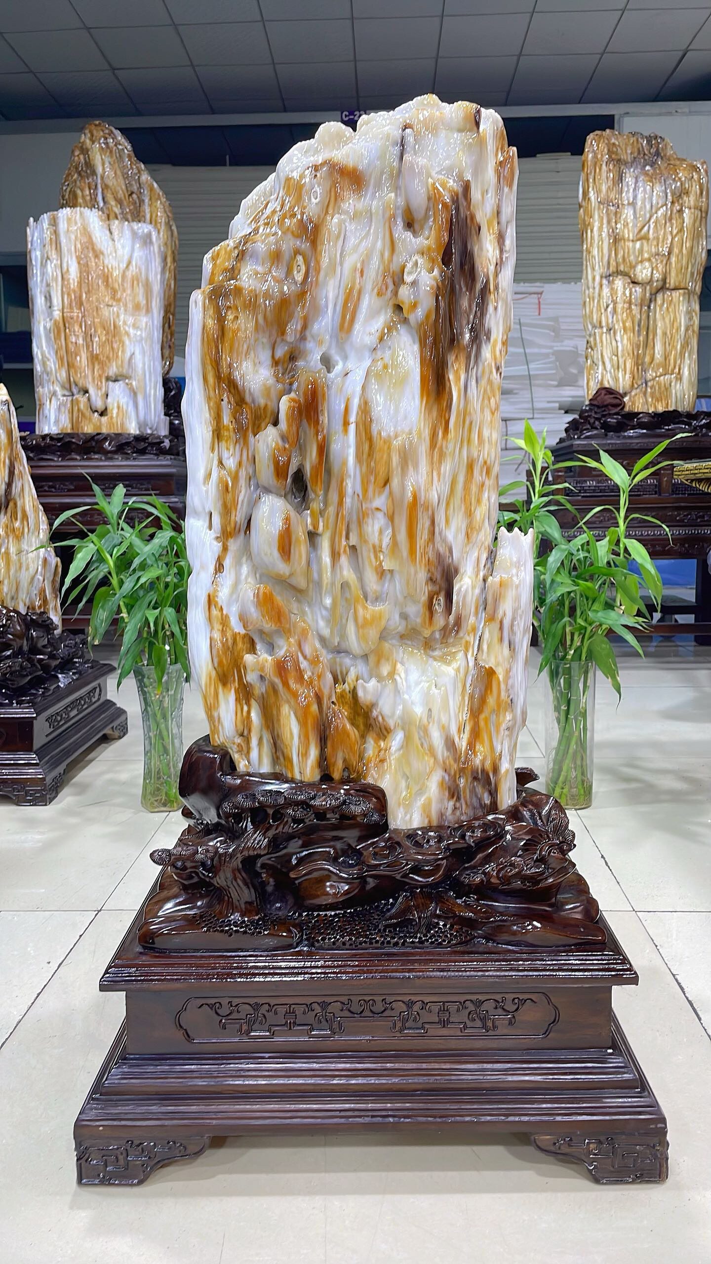 缅甸树化玉原石镇宅招财80714号木化石树化石天然硅化木奇石摆件