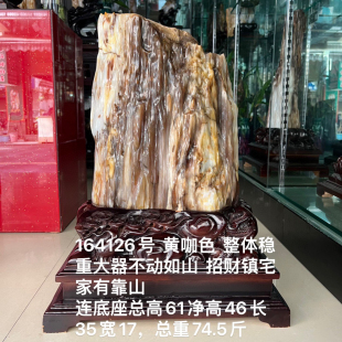 缅甸树化玉原石镇宅招财164126号木化石树化石天然硅化木奇石摆件