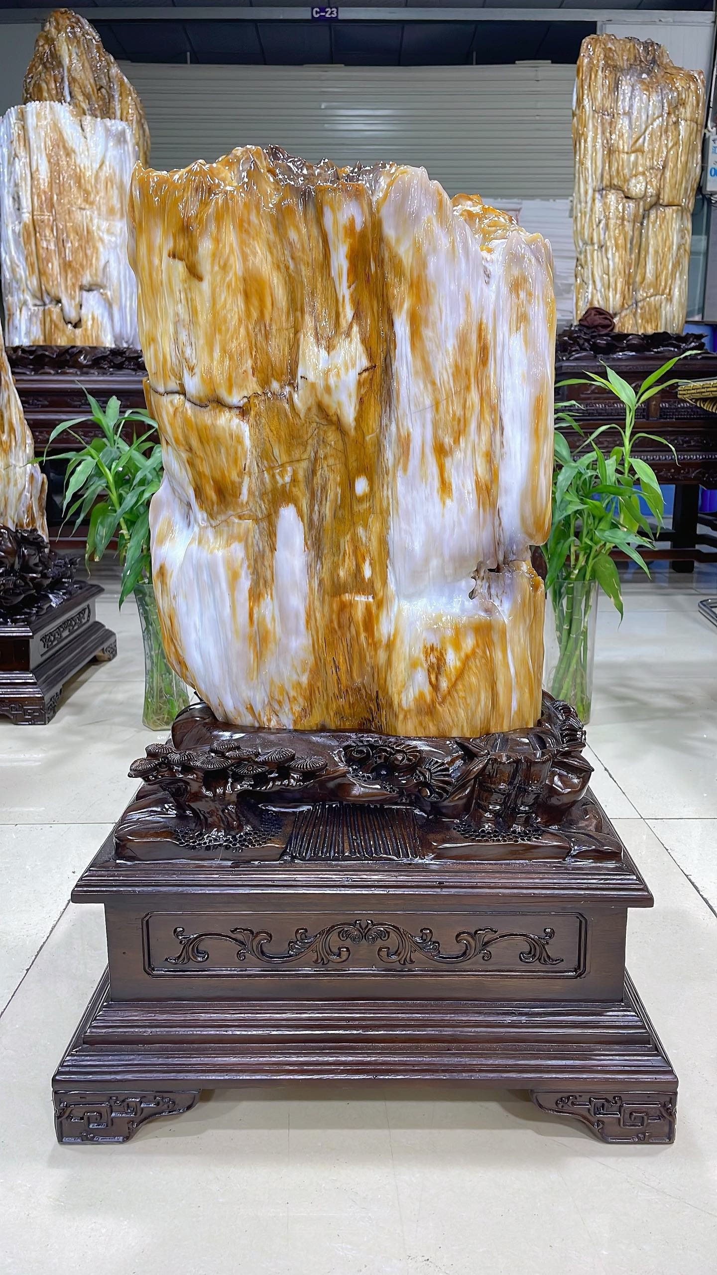 缅甸树化玉原石镇宅招财60714号木化石树化石天然硅化木奇石摆件,家居饰品,桌面摆件,淘宝优惠券,粉丝福利购,淘宝优惠卷