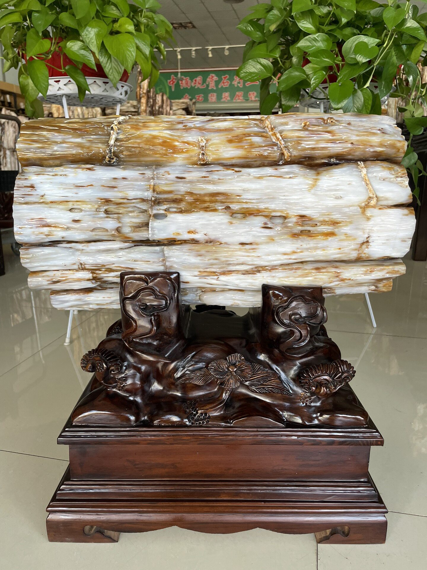 缅甸树化玉原石镇宅招财11311号木化石树化石天然硅化木奇石摆件