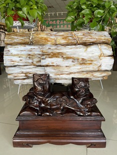 缅甸树化玉原石镇宅招财11311号木化石树化石天然硅化木奇石摆件