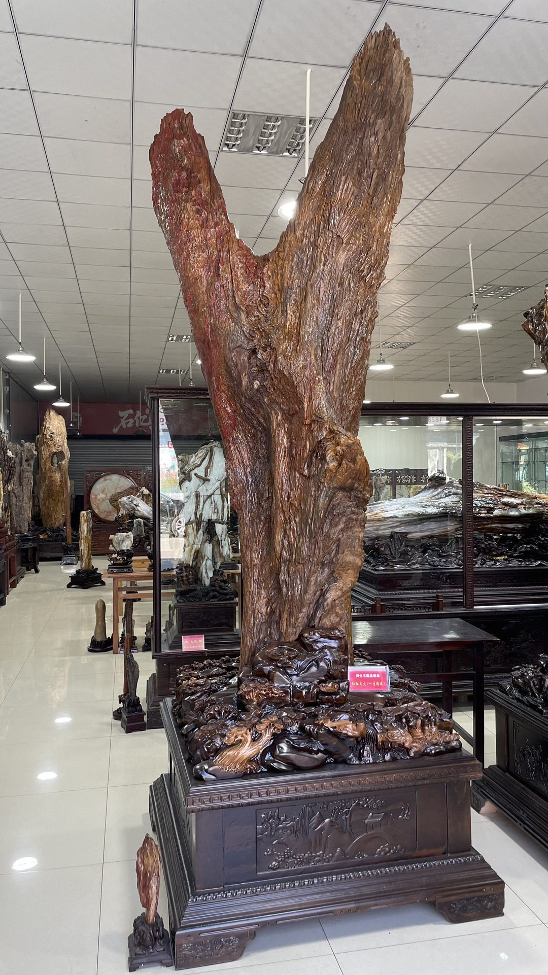 缅甸树化玉原石镇宅招财13030号木化石树化石天然硅化木奇石摆件