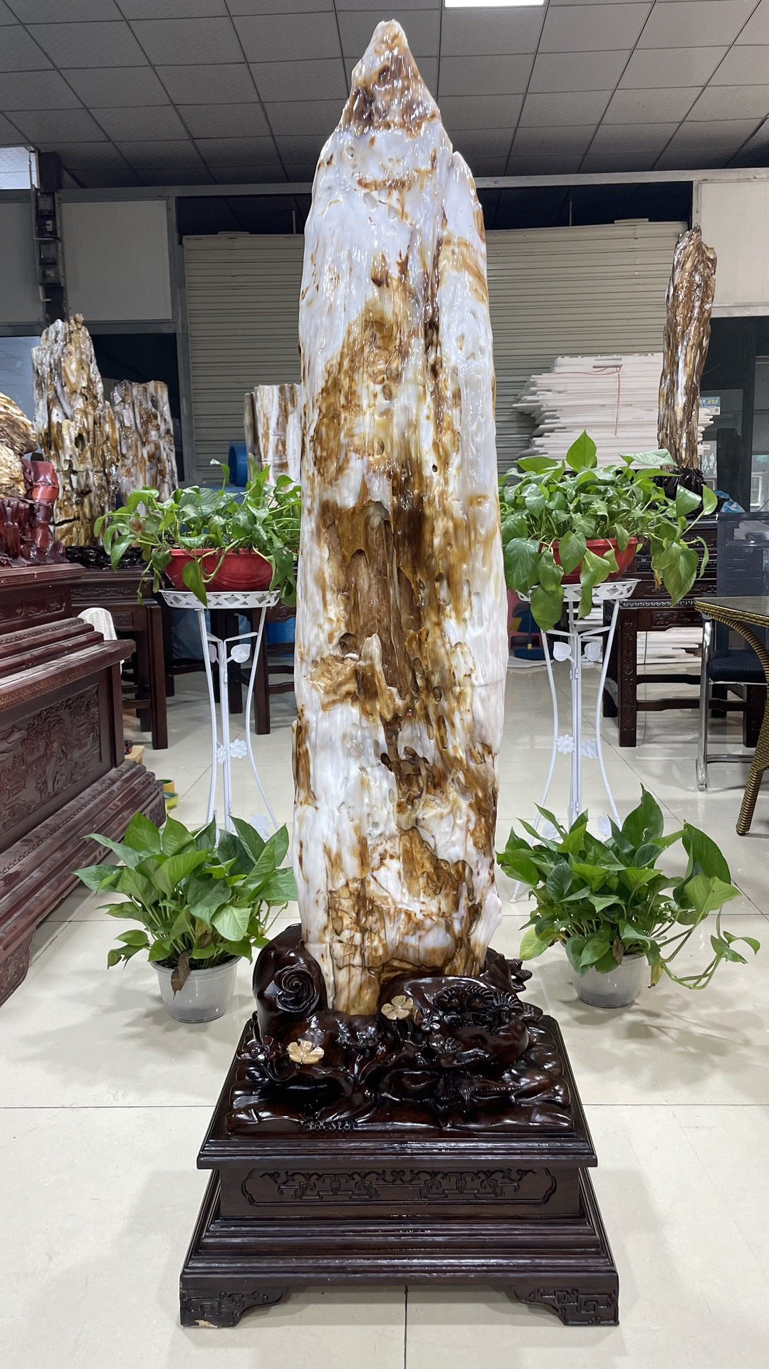 缅甸树化玉原石镇宅招财98014号木化石树化石天然硅化木奇石摆件