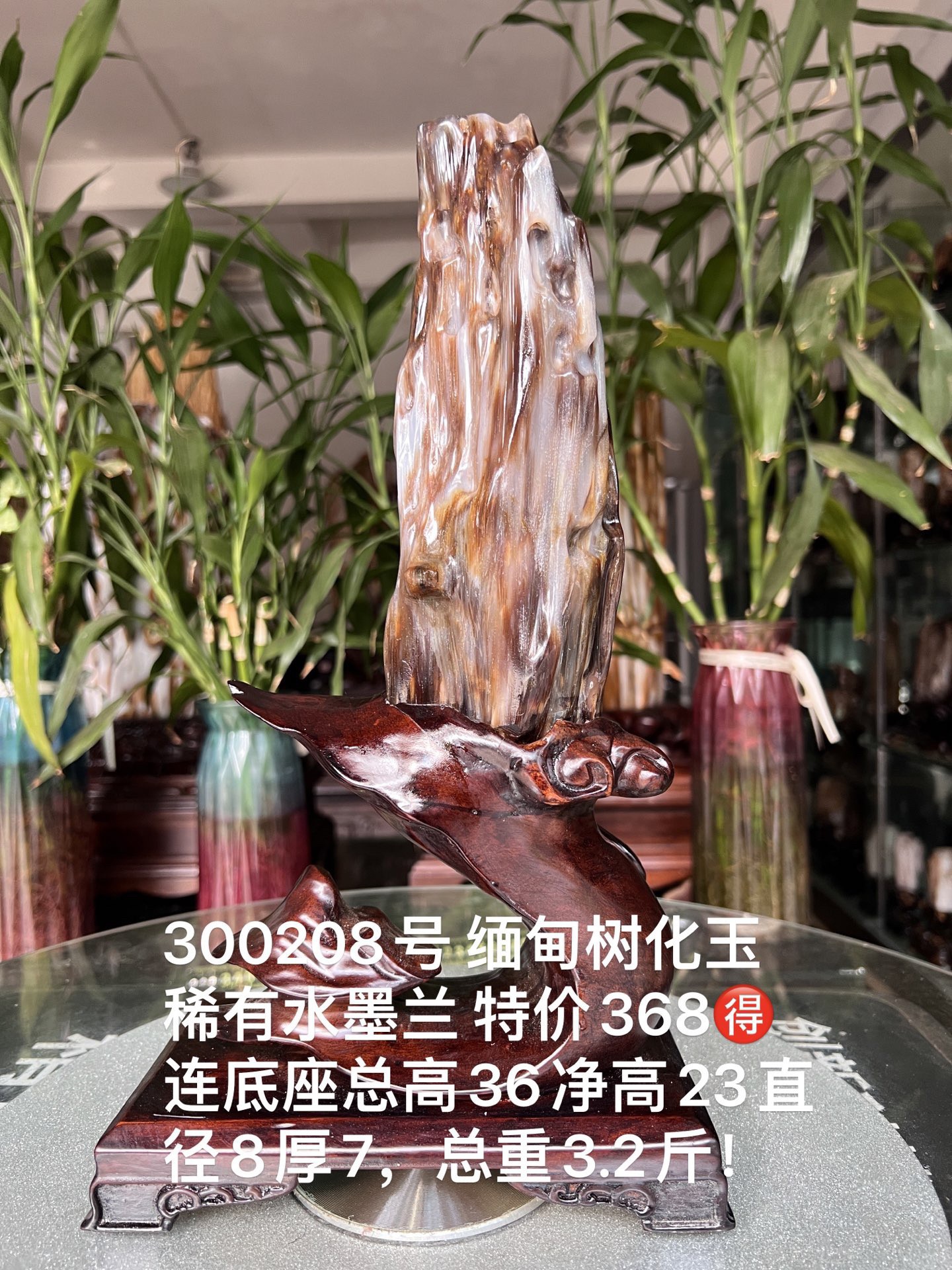 缅甸树化玉原石镇宅招财300208号木化石树化石天然硅化木奇石摆件