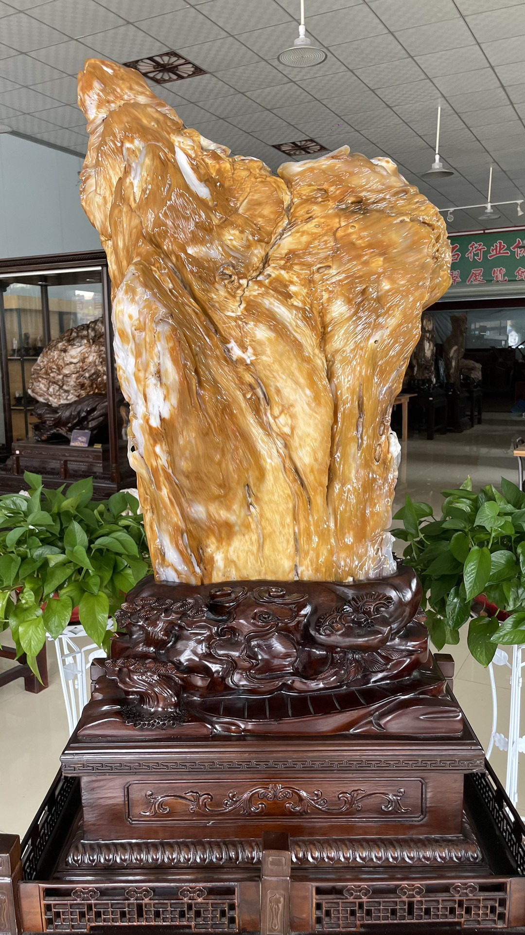 缅甸树化玉原石镇宅招财X46027号木化石树化石天然硅化木奇石摆件