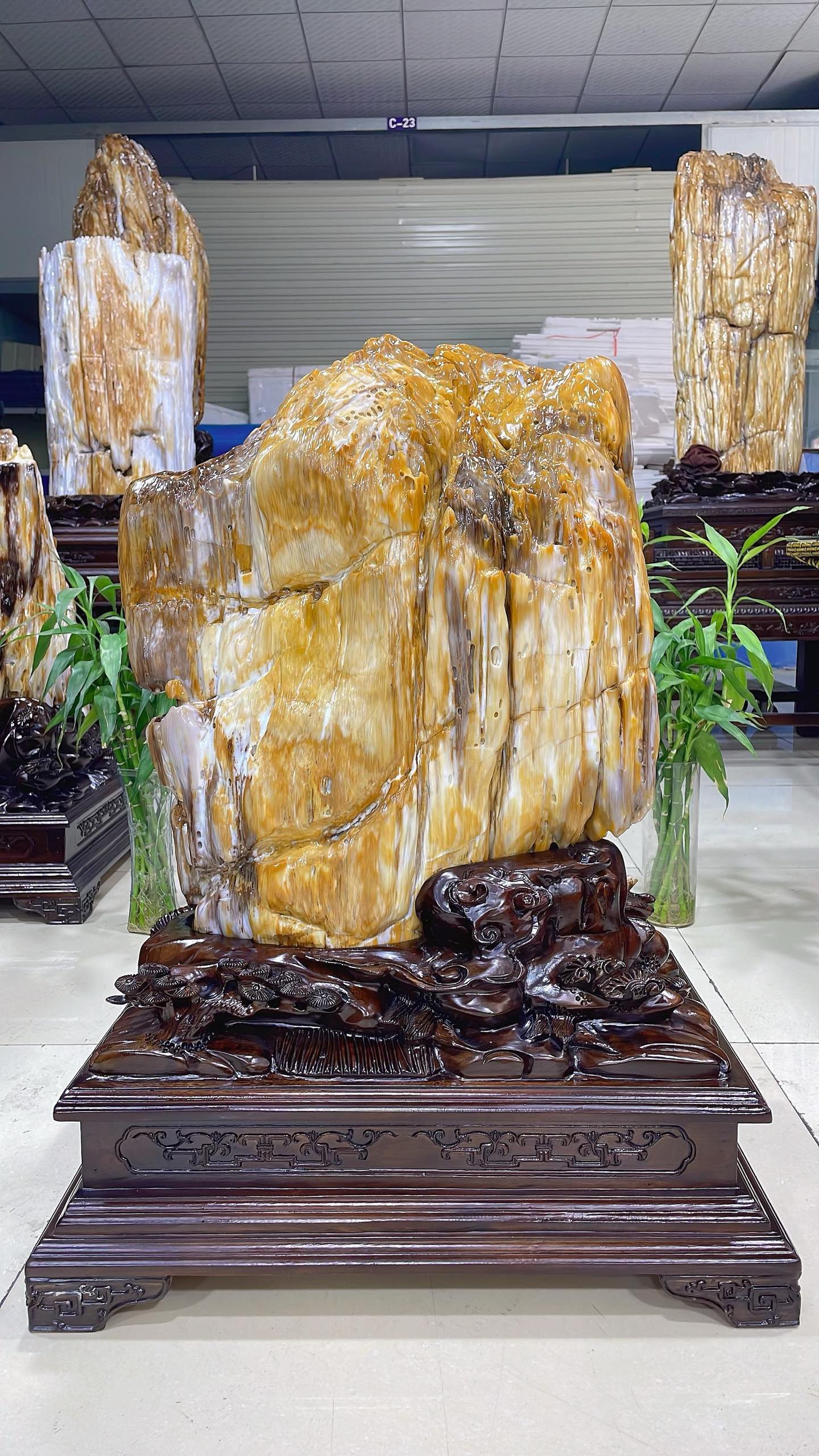 缅甸树化玉原石镇宅招财80714号木化石树化石天然硅化木奇石摆件