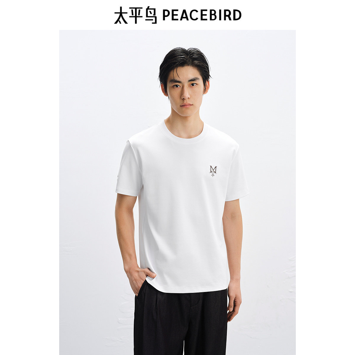 太平鸟男装 休闲 圆领T恤 B1CNF2223图片