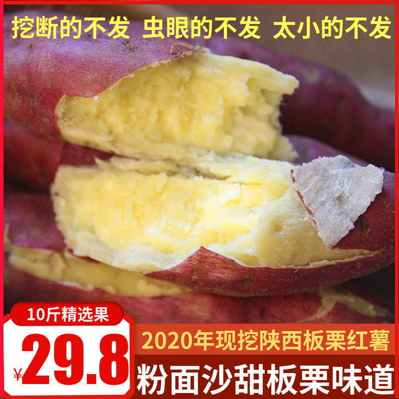 陕西板栗新鲜带箱沙地小香薯