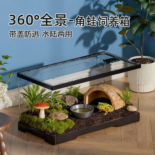透明亚克力角蛙饲养箱爬宠饲养箱