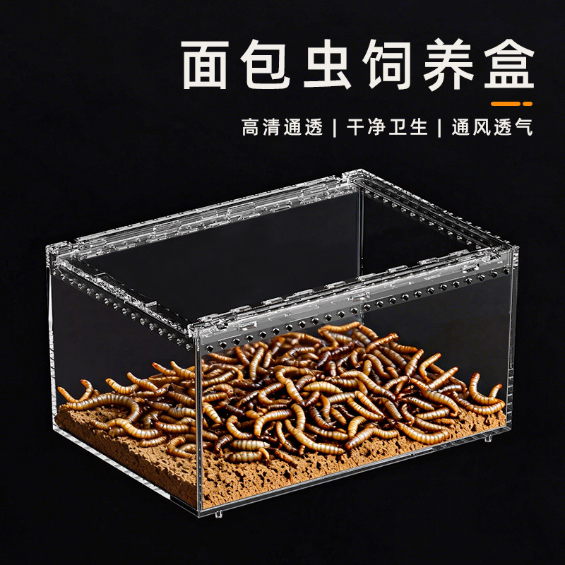 亚克力透明防逃爬宠生态缸图片