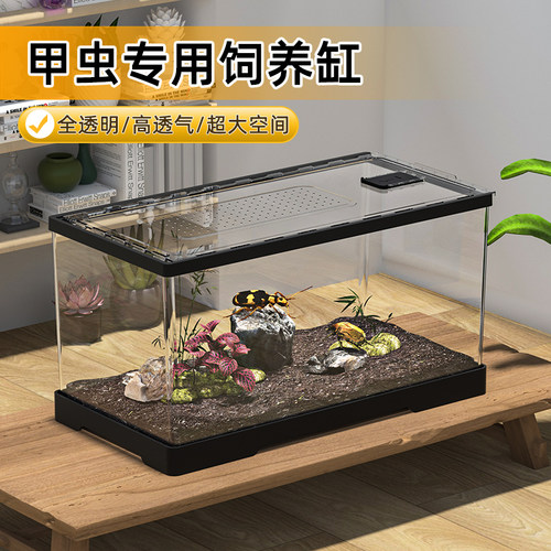 甲虫亚克力饲养箱透明饲养盒