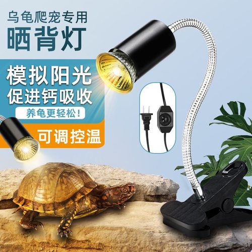 乌龟晒背灯加热保温灯