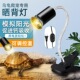乌龟晒背灯全光谱太阳灯uvb龟缸专用照背灯uva爬宠补钙加热保温灯