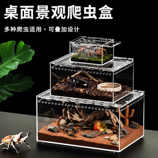 透明亚克力爬虫箱桌面景观盒多层叠加独角仙锹牛昆虫大容量爬宠缸