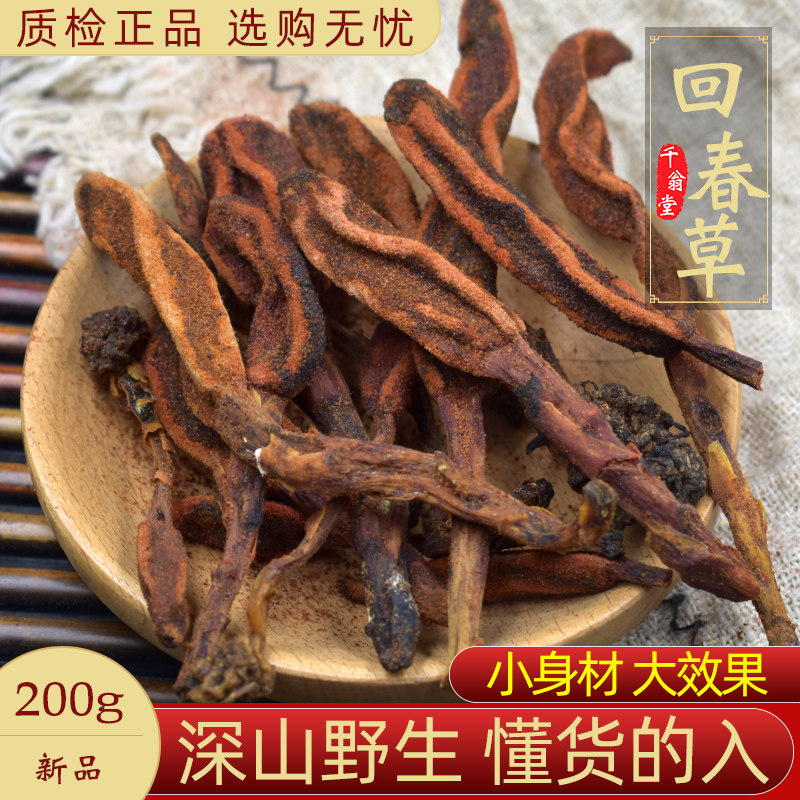 回春草野生云南回春草中药材200g顶天柱深山采摘石菰泡酒药材正品_虎窝淘